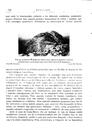 Butlletí de l'Agrupació Excursionista de Granollers, 1/5/1933, page 14 [Page]