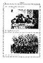 Psiquis, 18/1/1923, page 8 [Page]