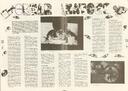 Gaz. Revista jove, núm. 6, 12/1984, pàgina 10 [Pàgina]