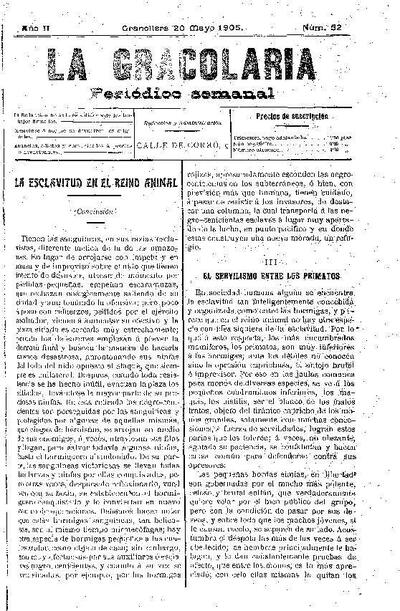 La Gracolaria, 20/5/1905 [Issue]