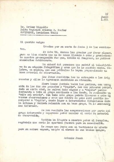 Carta d'Antoni Jonch a A.J. Riopelle sobre el grup de goril·les del Floquet i el seu comportament. [Document]